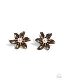 Well Established Whimsy - Brass