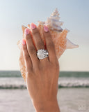 Seashell Side - White