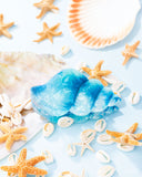 Smooth Seashell - Blue - Claw Clip