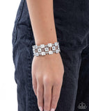 Puzzling Persistence - Silver 0525