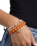 Wheel-Y Colorful - Orange